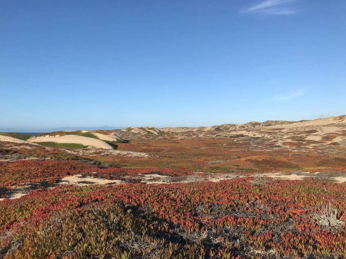 Country & By Radisson, Monterey Beachfront-marina, Ca Marina